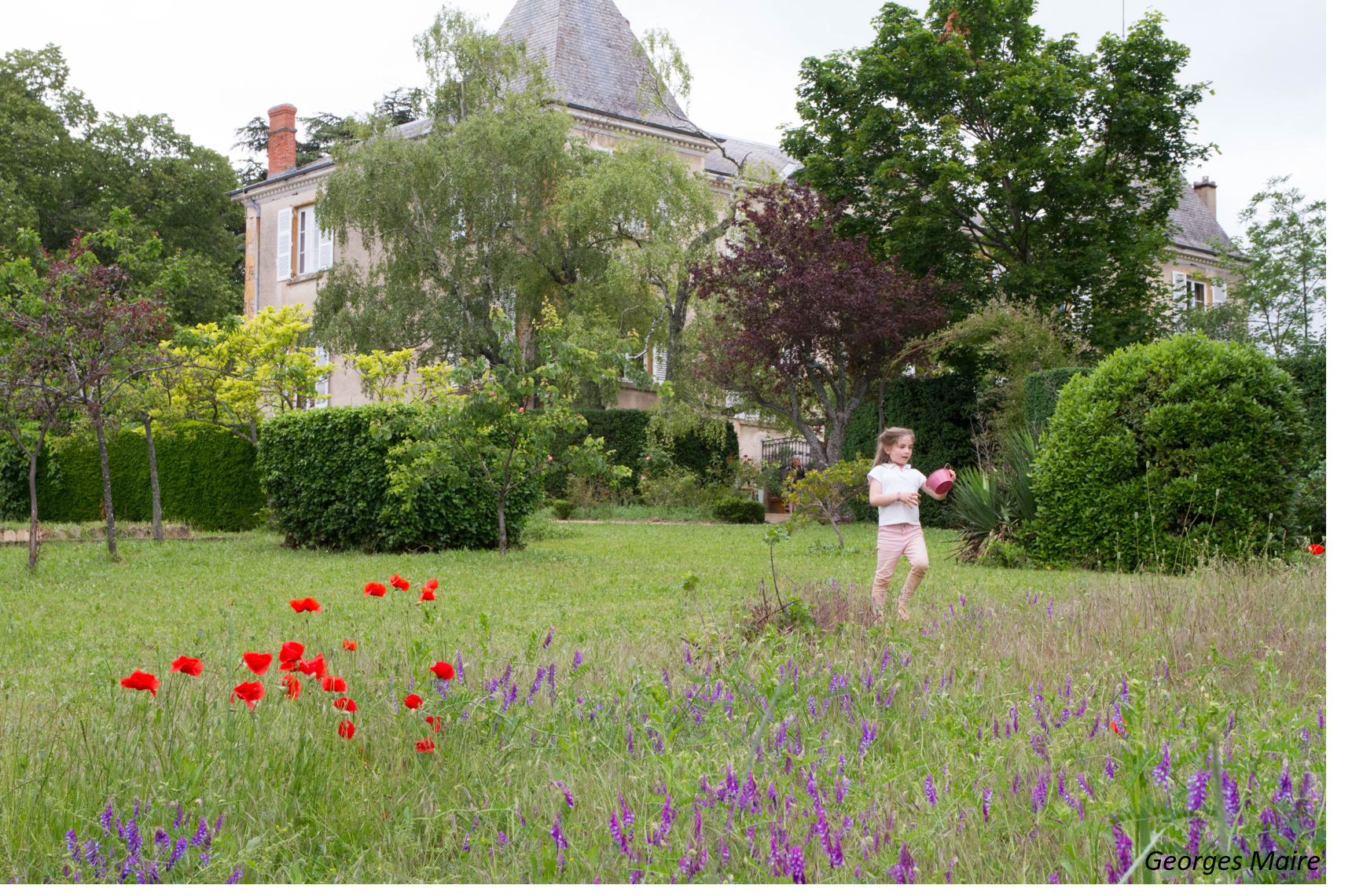 Noëlla courant dans un champs de fleurs - Rendez-vous aux Jardins 2021